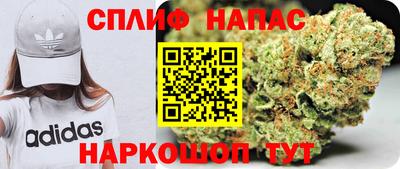 гидра Бузулук