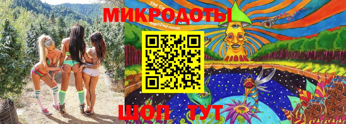 Псилоцибиновые грибы мицелий  Вход с VPN  Сургут 